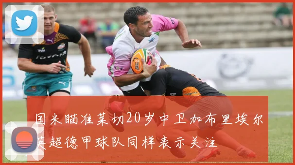国米瞄准莱切20岁中卫加布里埃尔英超德甲球队同样表示关注