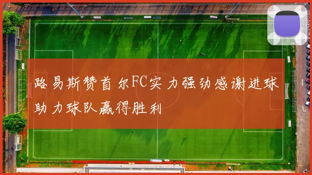 路易斯赞首尔FC实力强劲感谢进球助力球队赢得胜利